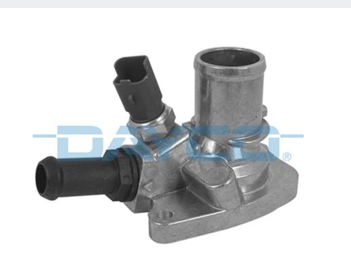 WhatsApp Image 2026-01-12 at 23.17.55 (11)