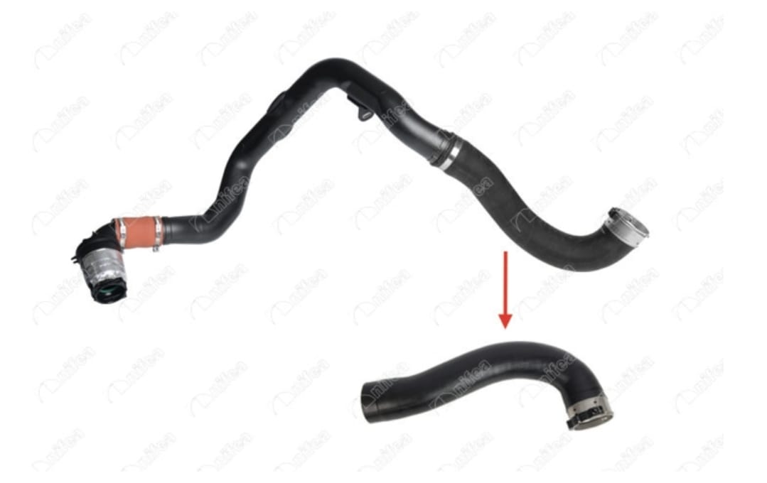 WhatsApp Image 2026-01-12 at 23.17.55 (6)