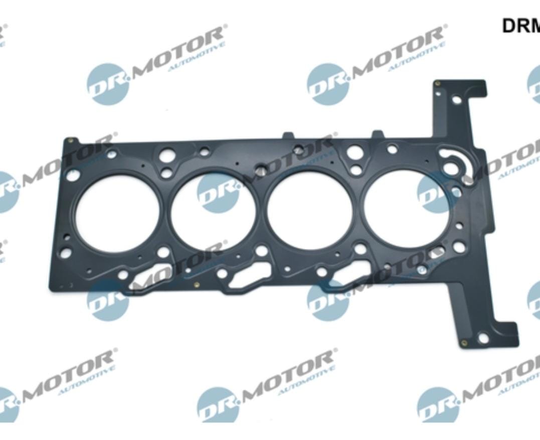 WhatsApp Image 2026-01-12 at 23.17.55 (8)