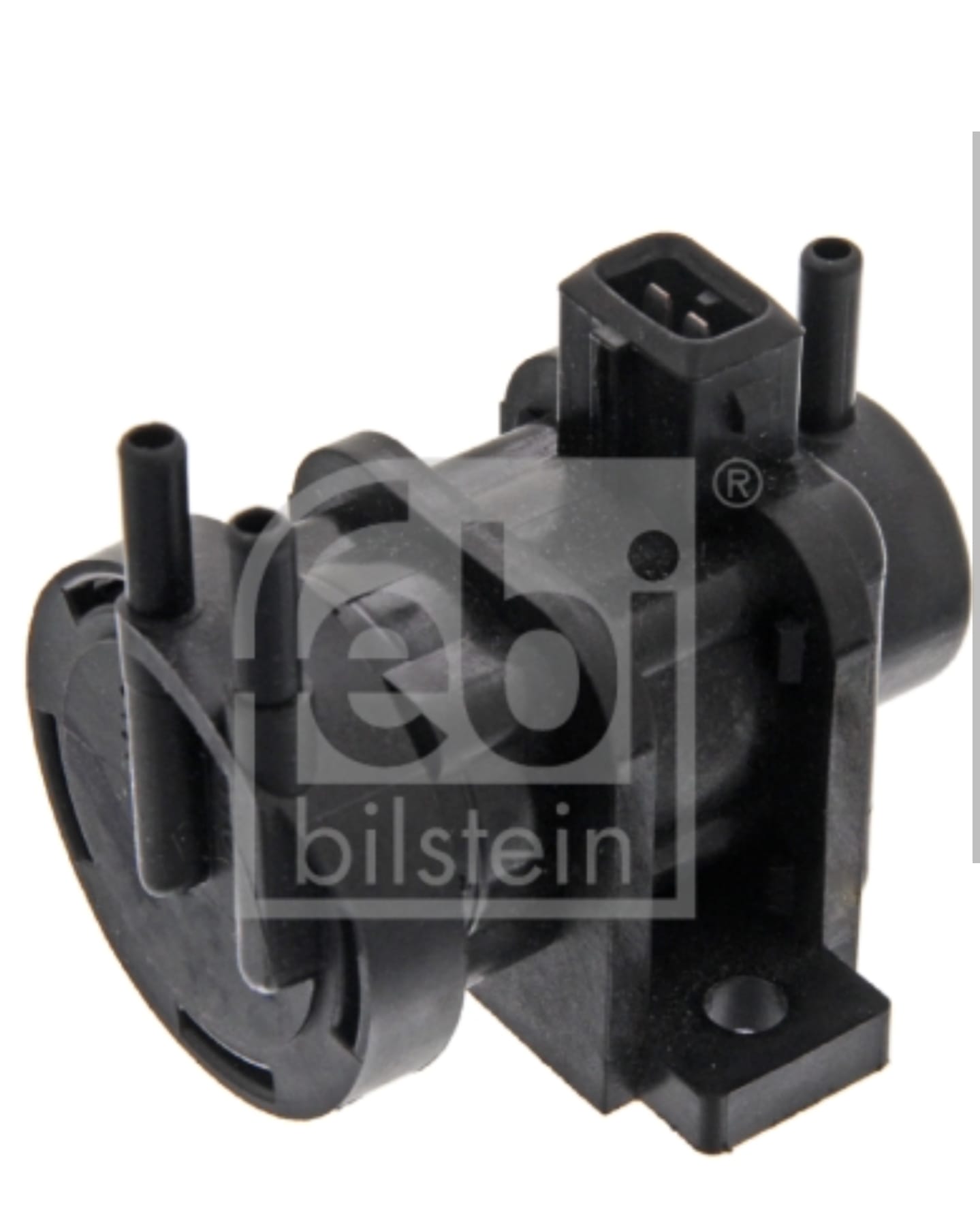 WhatsApp Image 2026-01-12 at 23.17.56 (5)