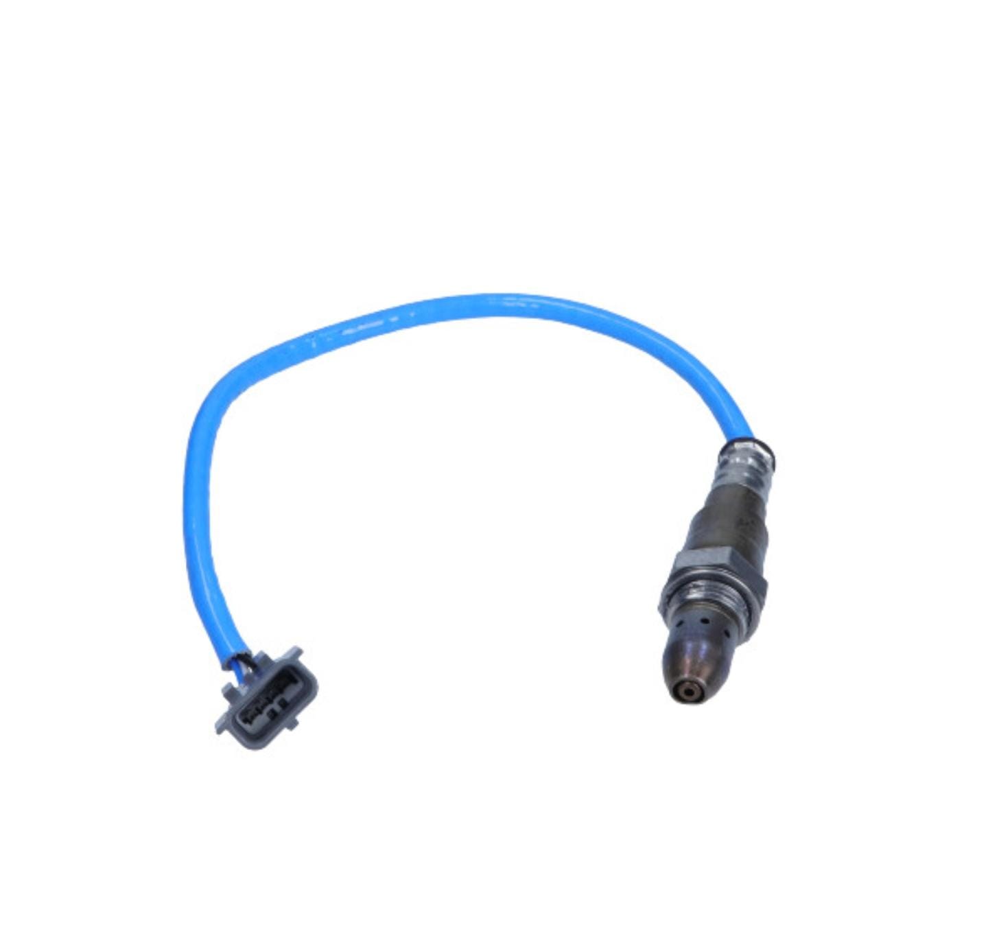 WhatsApp Image 2026-01-12 at 23.18.00 (2)