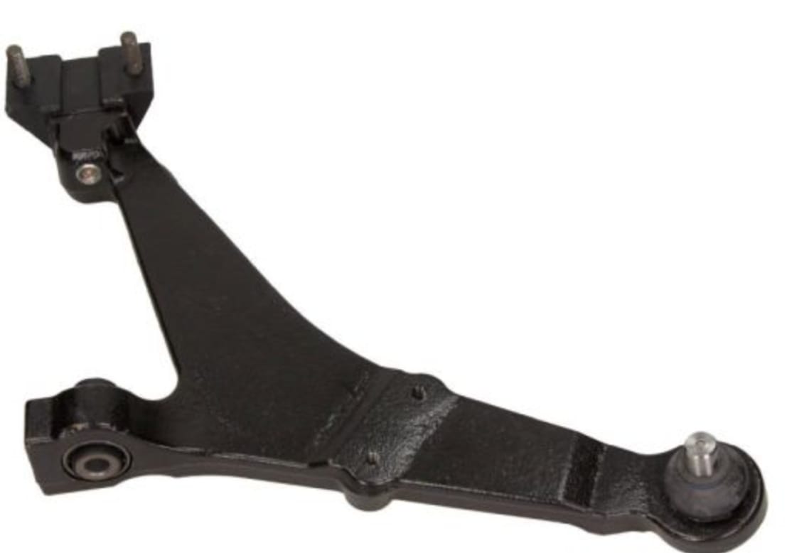 WhatsApp Image 2026-01-12 at 23.18.00